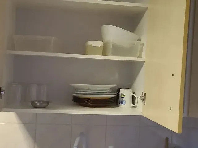 Imagem 7: Kitnet para Uma Pessoa Sem Animais