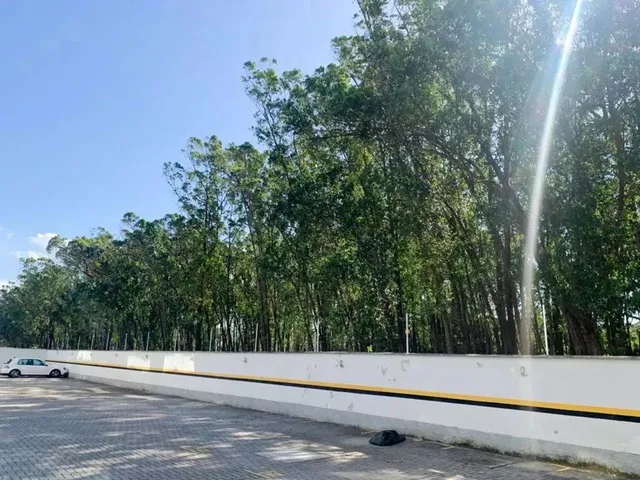 Imagem 13: Apartamento com 2 Dormitórios para Alugar, 57 M² por R$ 2.048,19/Mês - Aririú