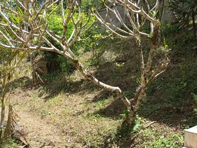 Imagem 10: Condomínio Aceito Troca/Apto/Carro/Comércio 200M Area Constr. 3 Quartos C/Suite