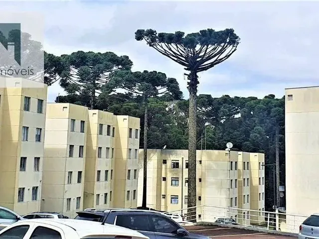 Imagem: Apto 2 Quartos, 1 Vaga - Cond Ilha dos Pinheiros