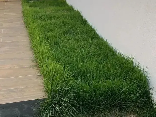 Imagem 4: Alugo Excelente Casa