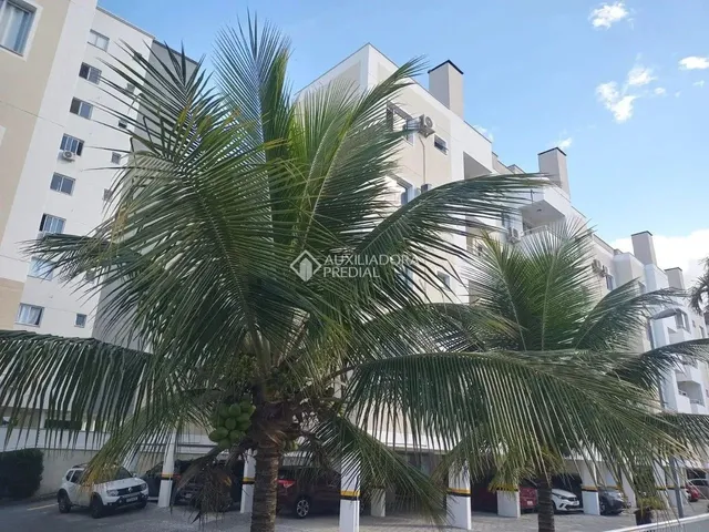 Imagem: Apartamento no Bairro Pagani com 2 Dormitórios