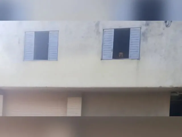 Imagem: O apartamento possui 3 Dormitórios, 2 Banheiros e está