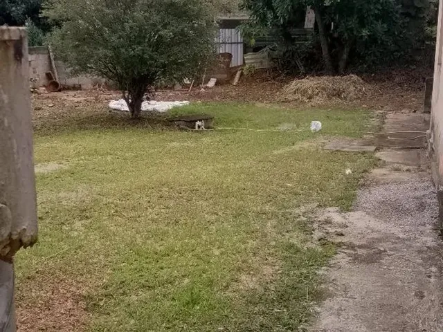 Imagem 7: Casa Podendo Se Transforma em Um Bela Chácara!!!