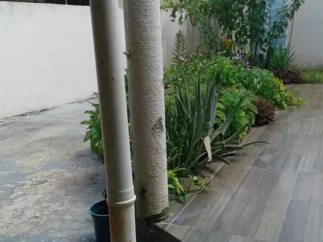 Imagem 9: Excelente Casa com 3 Quartos, Sendo 1 Suíte no Jardim Imperial em Trindade
