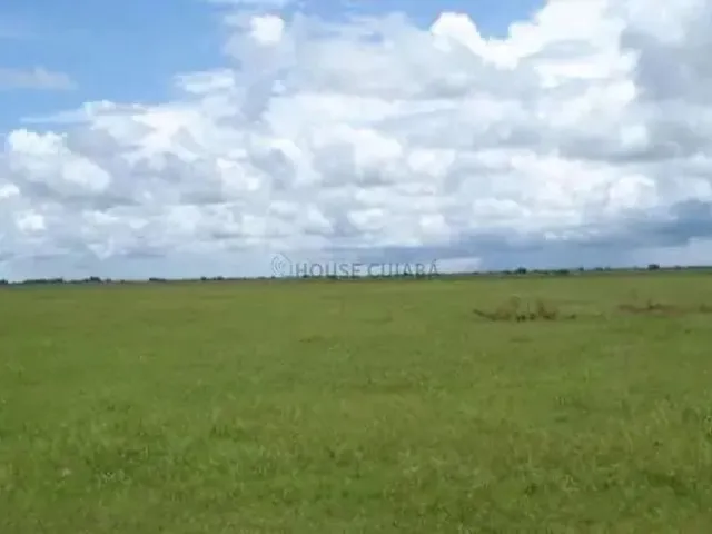 Imagem 1: Fazenda À Venda Pantanal Mato-Grossense