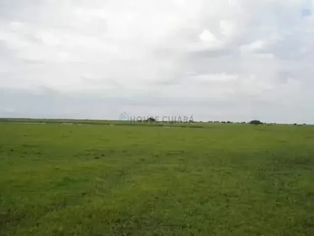 Imagem 4: Fazenda À Venda Pantanal Mato-Grossense