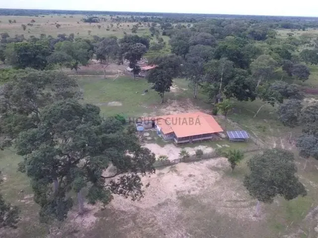 Imagem 7: Fazenda À Venda Pantanal Mato-Grossense