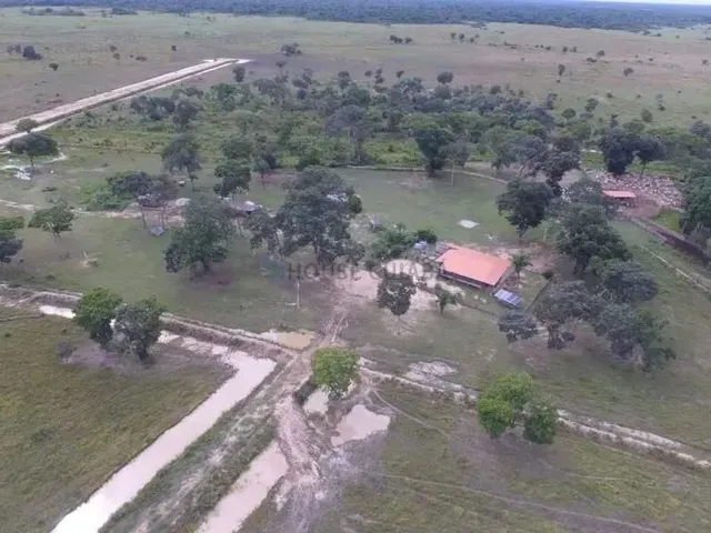 Imagem 6: Fazenda À Venda Pantanal Mato-Grossense
