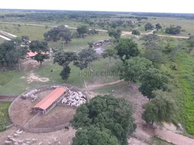 Imagem 3: Fazenda À Venda Pantanal Mato-Grossense