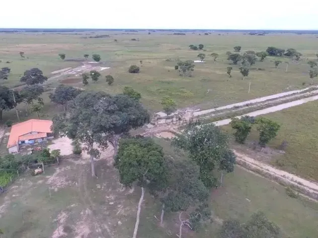 Imagem 2: Fazenda À Venda Pantanal Mato-Grossense