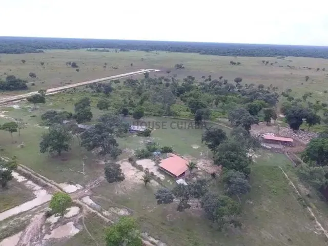 Imagem 5: Fazenda À Venda Pantanal Mato-Grossense