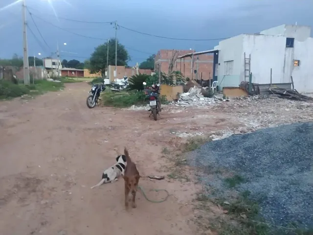 Imagem: Vendo Terreno 11 por 20