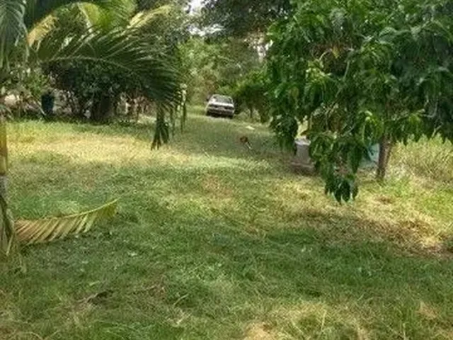 Imagem: Imperdivel Black - Chácara Praia Grande