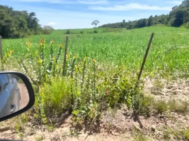 Imagem 6: Fazenda Beira Rio Manso em Chapada