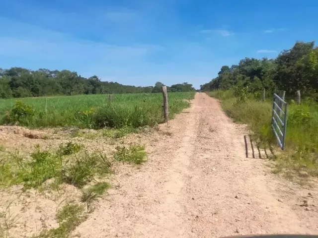Imagem 7: Fazenda Beira Rio Manso em Chapada