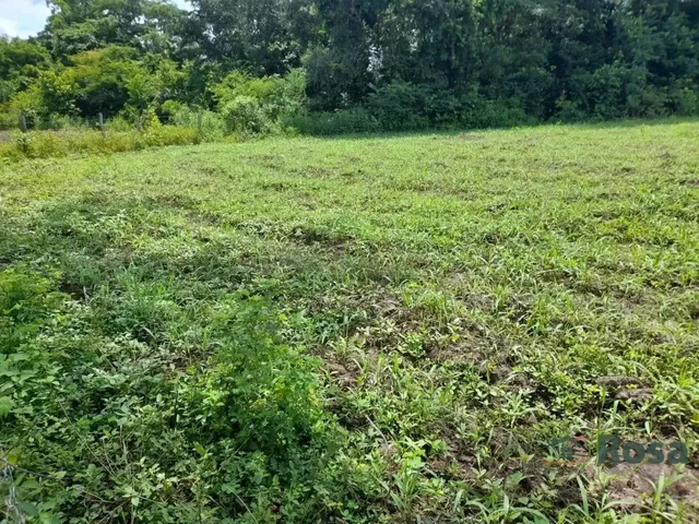 Imagem 15: Fazenda Beira Rio Manso em Chapada