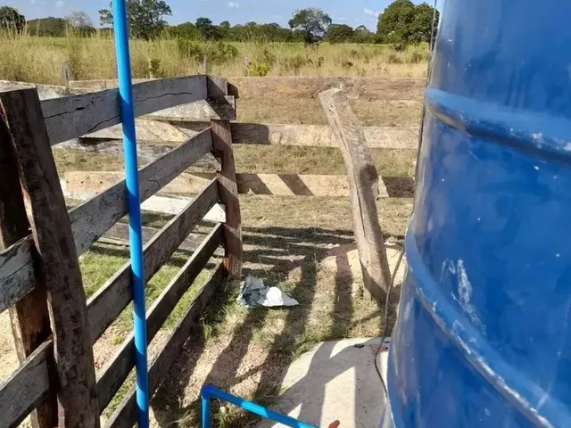 Imagem 11: Fazenda Beira Rio Manso em Chapada