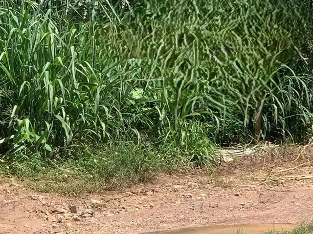 Imagem: Oportunidade -Terreno Centro Empresarial