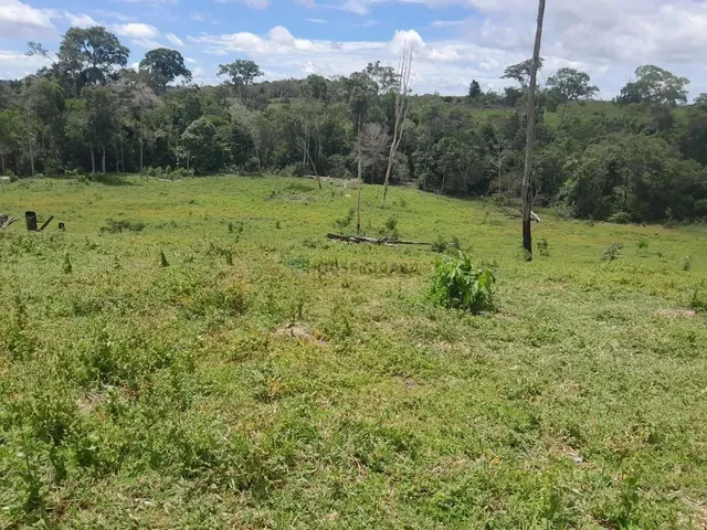 Imagem: Sítio de 18 Hectares (7,5 Alqueires) na
