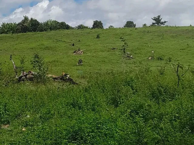 Imagem 4: Sítio de 18 Hectares (7,5 Alqueires) na Região da Cidade de Comodoro Mt