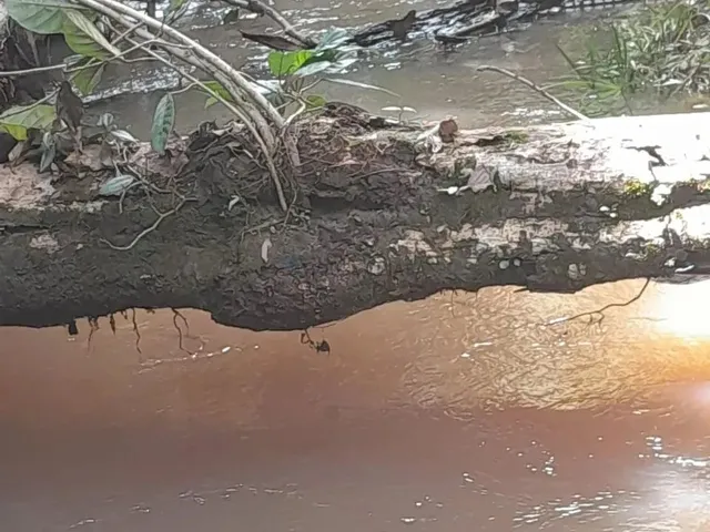 Imagem 9: Sítio de 18 Hectares (7,5 Alqueires) na Região da Cidade de Comodoro Mt