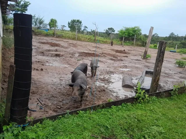 Imagem 2: Sítio de 18 Hectares (7,5 Alqueires) na Região da Cidade de Comodoro Mt