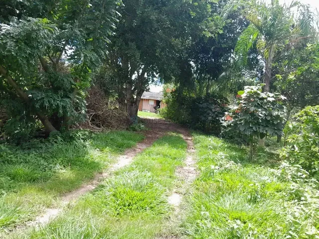 Imagem 11: Sítio de 18 Hectares (7,5 Alqueires) na Região da Cidade de Comodoro Mt