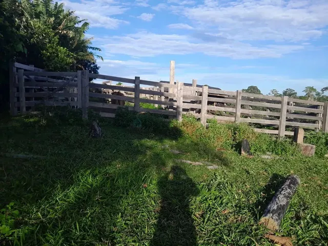 Imagem 5: Sítio de 18 Hectares (7,5 Alqueires) na Região da Cidade de Comodoro Mt