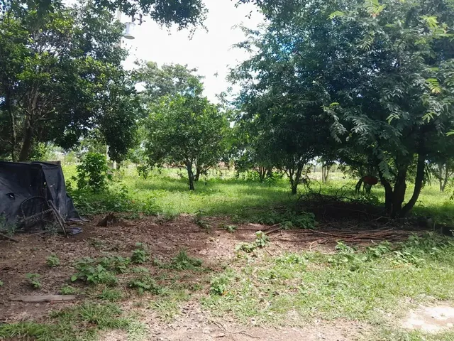 Imagem 16: Sítio de 18 Hectares (7,5 Alqueires) na Região da Cidade de Comodoro Mt