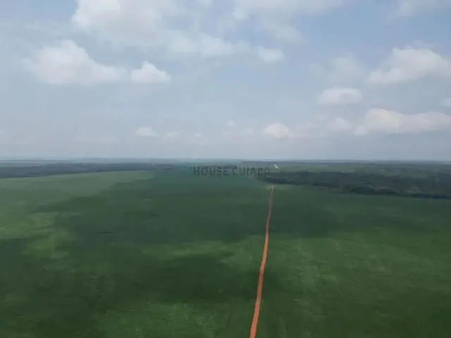 Imagem 3: Fazenda À Venda Região de Nova Mutum Mt
