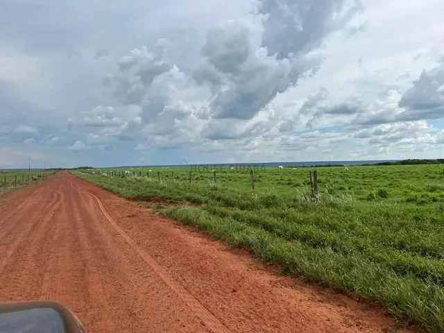 Imagem 5: Fazenda À Venda Região de Nova Mutum Mt