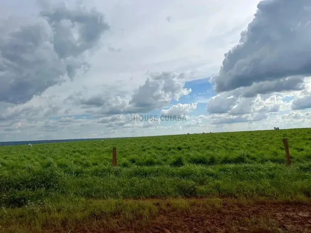 Imagem 6: Fazenda À Venda Região de Nova Mutum Mt