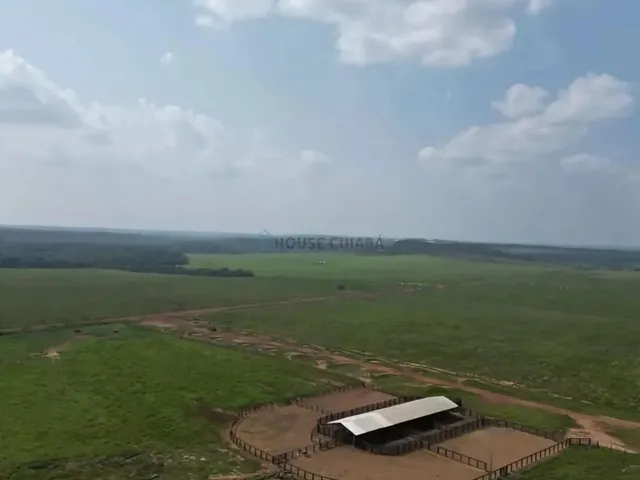 Imagem 4: Fazenda À Venda Região de Nova Mutum Mt