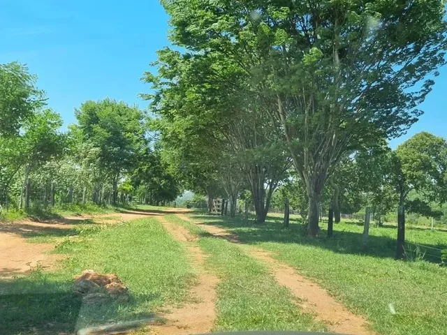 Imagem: Excelente Fazenda a Venda em Cáceres