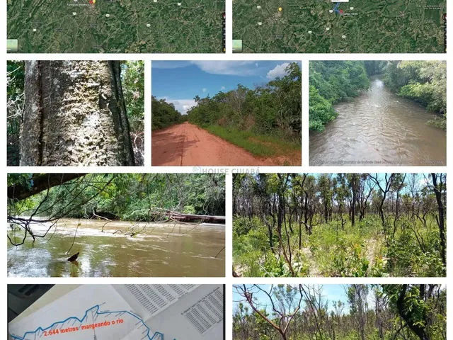 Imagem: Área Rural de 150 Hectares na Região da