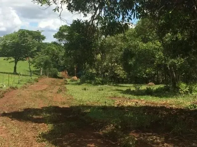 Imagem 13: Vende-Se Área em Chapada dos Guimarães , 19 Ha