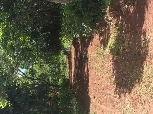 Imagem 2: Vende-Se Área em Chapada dos Guimarães , 19 Ha