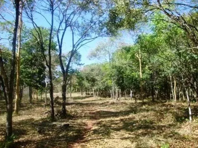 Imagem 4: Vende-Se Área em Chapada dos Guimarães , 19 Ha