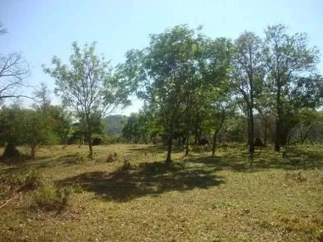 Imagem 16: Vende-Se Área em Chapada dos Guimarães , 19 Ha