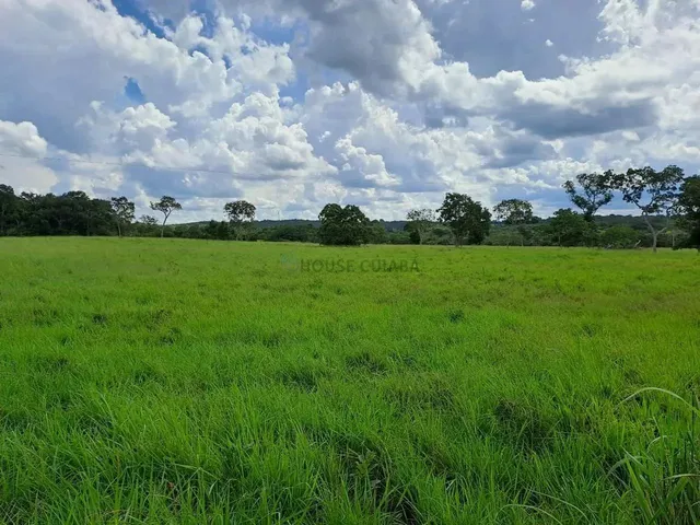 Imagem: Fazenda com 91 Hectares Banhando pelo Rio