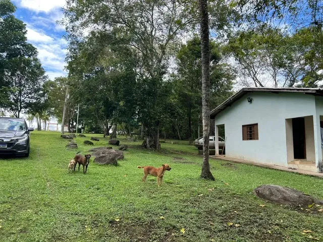 Imagem 8: Excelente Chácara Distrito da Guia