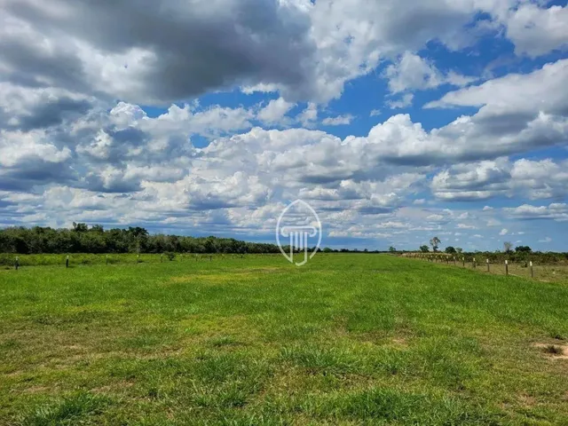 Imagem: Fazenda À Venda, M² por R$ 92.000.000