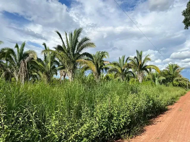 Imagem: Sítio com 55 Hectares na Região da Cidade