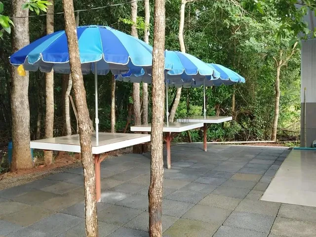Imagem 5: Rancho para Venda Ou Locação no Jauru