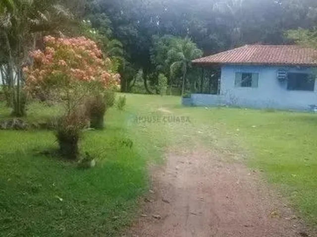 Imagem 12: Chácara Agrovila das Palmeiras