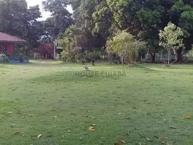 Imagem 15: Chácara Agrovila das Palmeiras