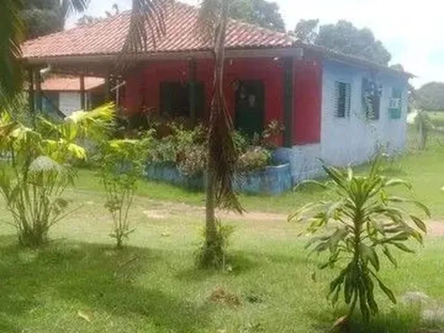 Imagem 5: Chácara Agrovila das Palmeiras