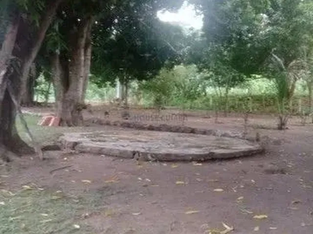 Imagem 13: Chácara Agrovila das Palmeiras