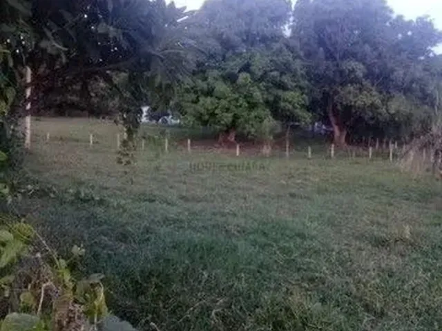 Imagem 4: Chácara Agrovila das Palmeiras